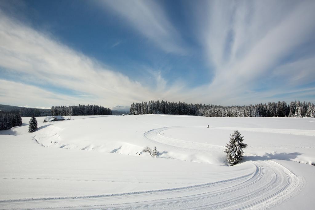 Gasthaus Zum Hirschen Furtwangen Luaran gambar